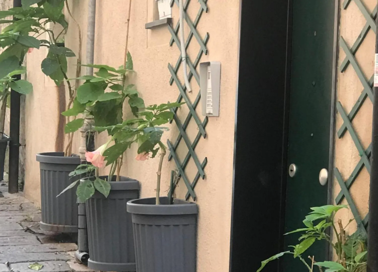 Cioccolatino. Il Ritrovo Degli Artisti A Genova Apartman